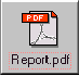 Button Report PDF